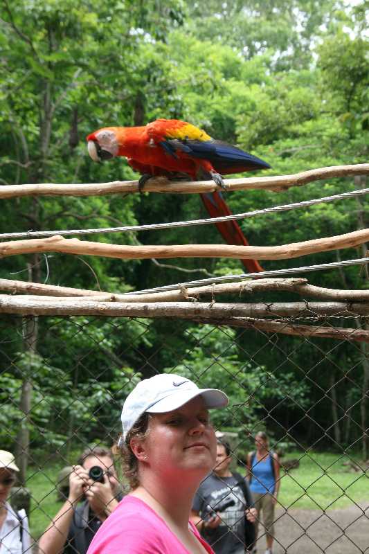 Mexico & Guatemala 2010 - 0902